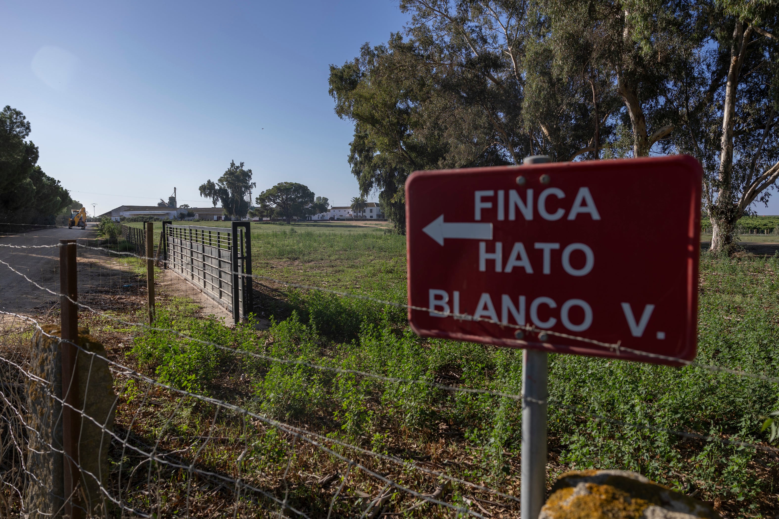 "Familia Campos Peña evita prisión tras rebaja de condena por expolio de agua en Doñana a un año y medio"